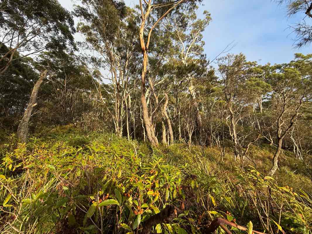 walking near me in Greenfield Beach Picnic Area in autumn