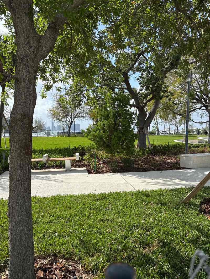 walking near me in Maurice Gibb Memorial Park in spring