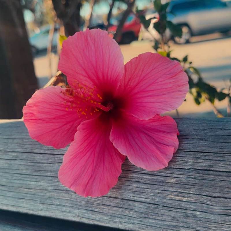 Staying Active Everyday Krystal post image