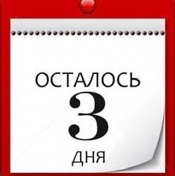 Деловые 🐛🐛🐛🐛🐛🐛🐛 Sveta post image