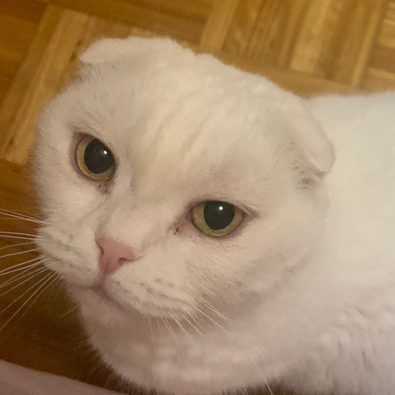 Поліна з Порту😋 profile