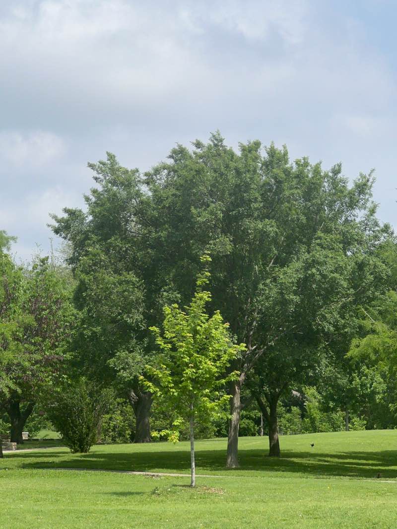 walking near me in Big Lake Park in spring