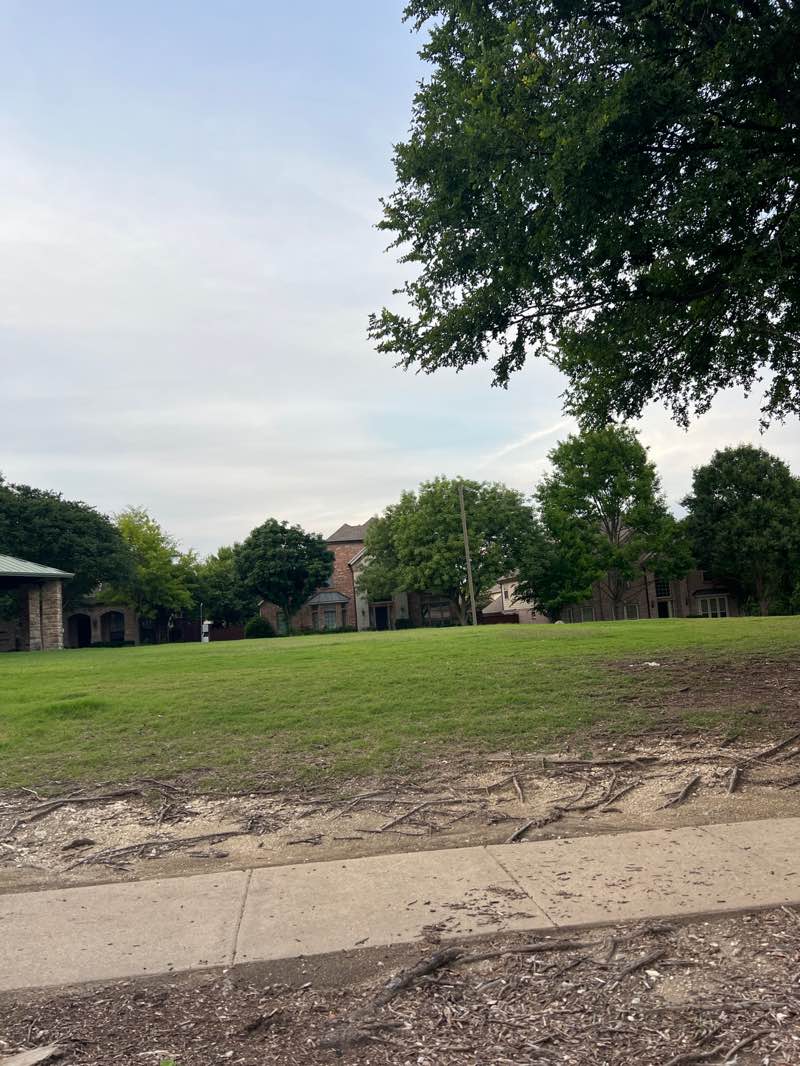 walking near me in The Trail at the Woods in spring