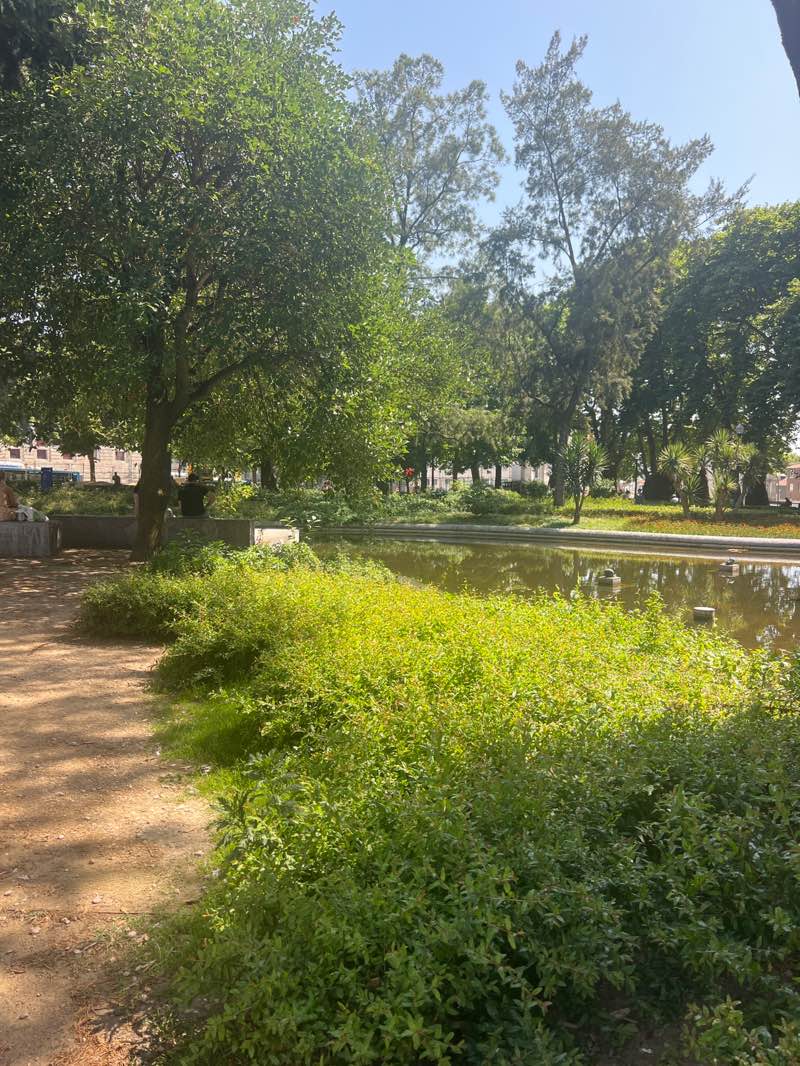 walking near me in Jardim de João Chagas in summer