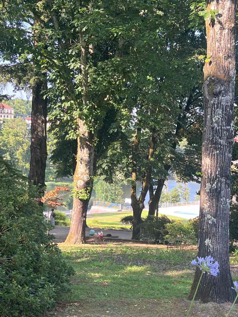 walking near me in Parque Florestal de Amarante in summer