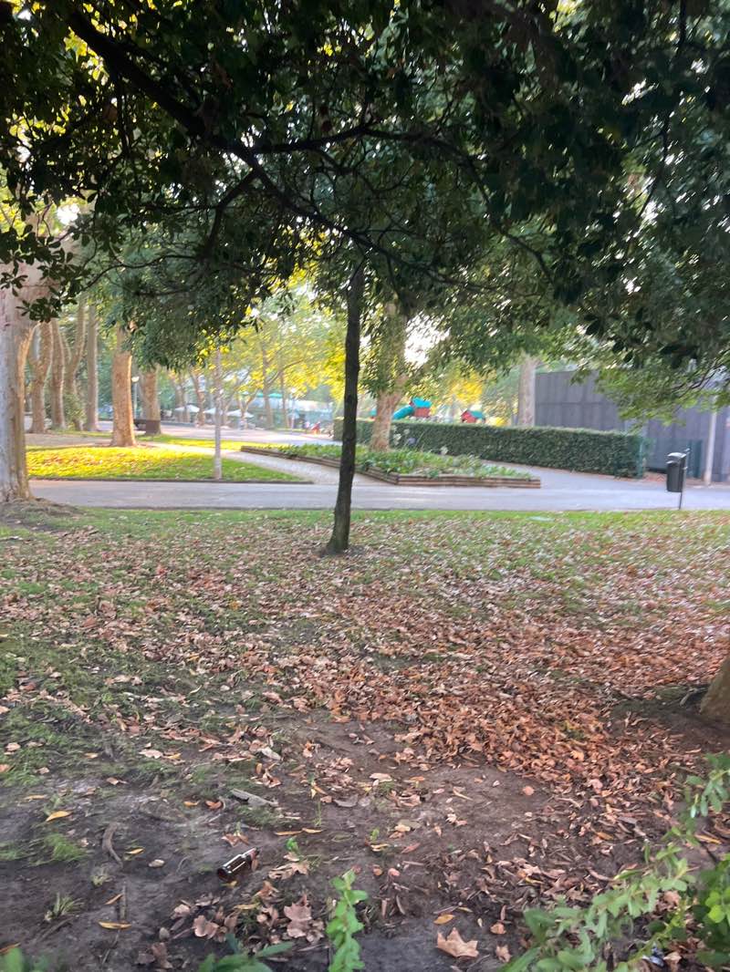 walking near me in Parque do Bonfim in summer