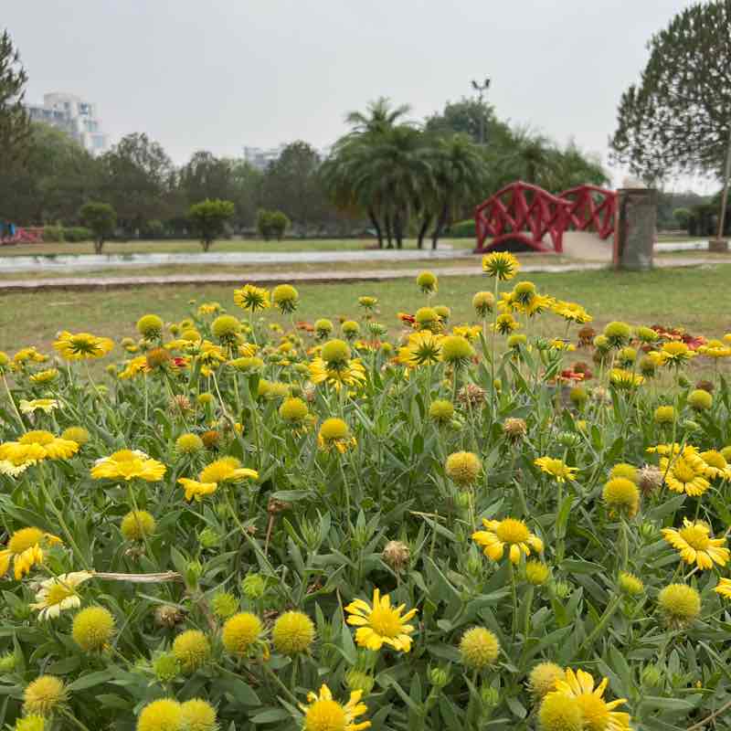 Jayendra Dubey post 1