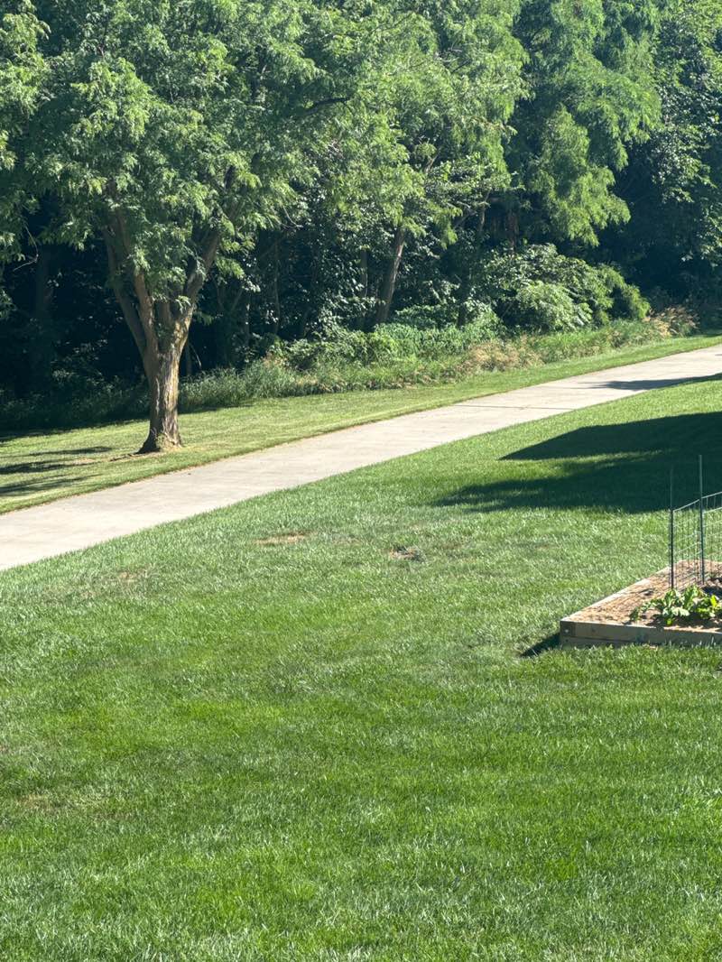 walking near me in Heartland Hills Park in summer