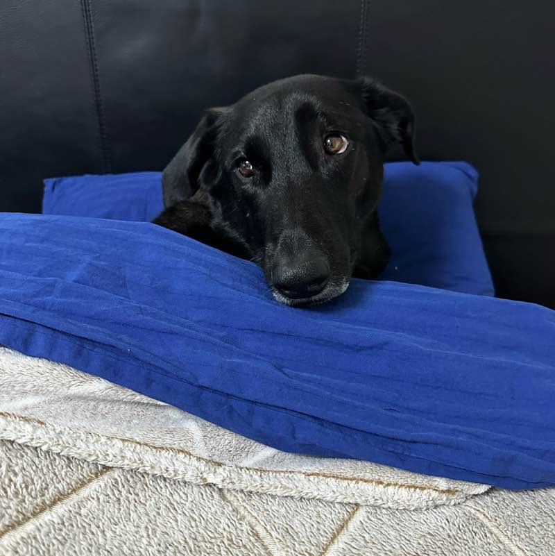 Красотуши Диана post image