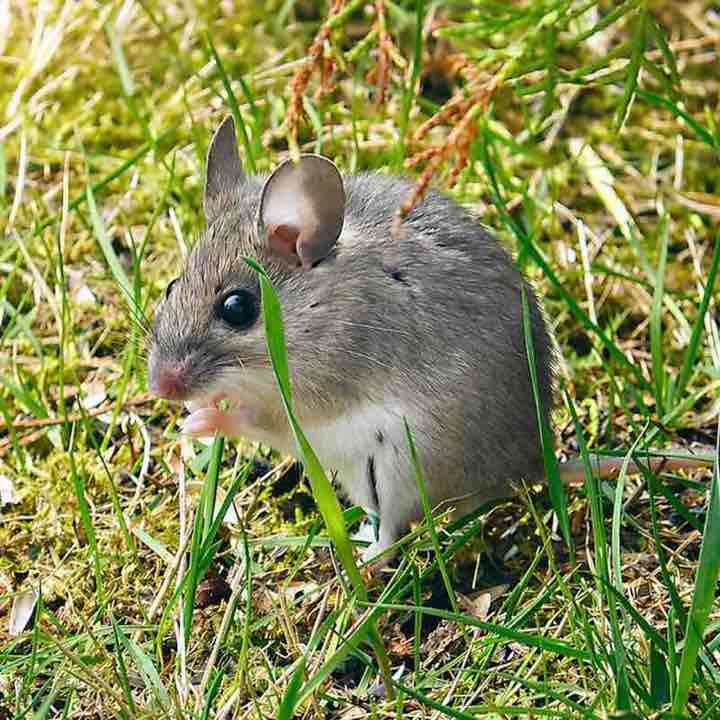 Nie.zapominajka post 3