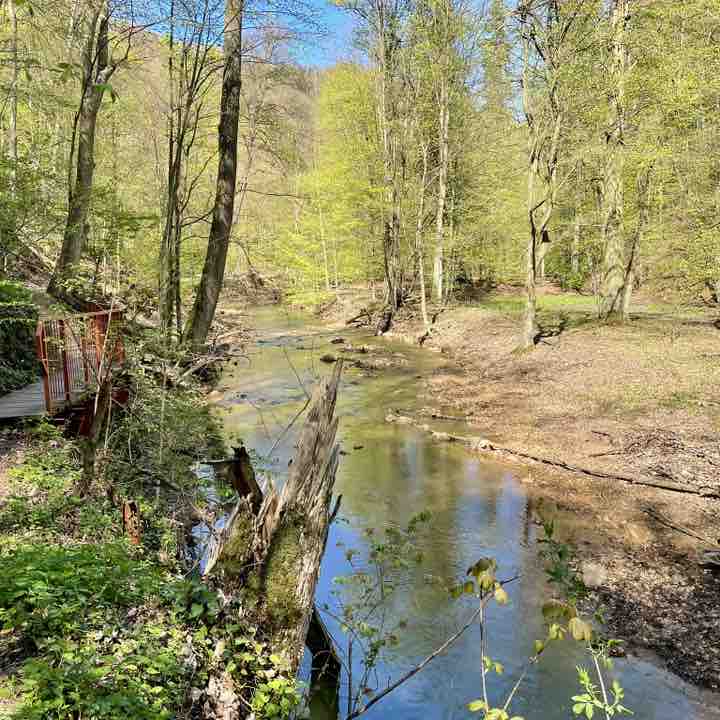 Nie.zapominajka post 3