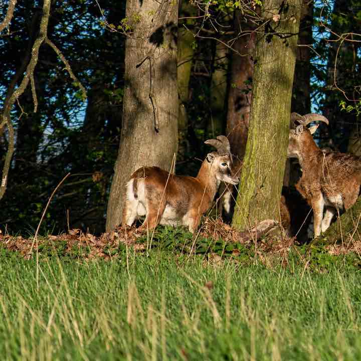 Nie.zapominajka post 1