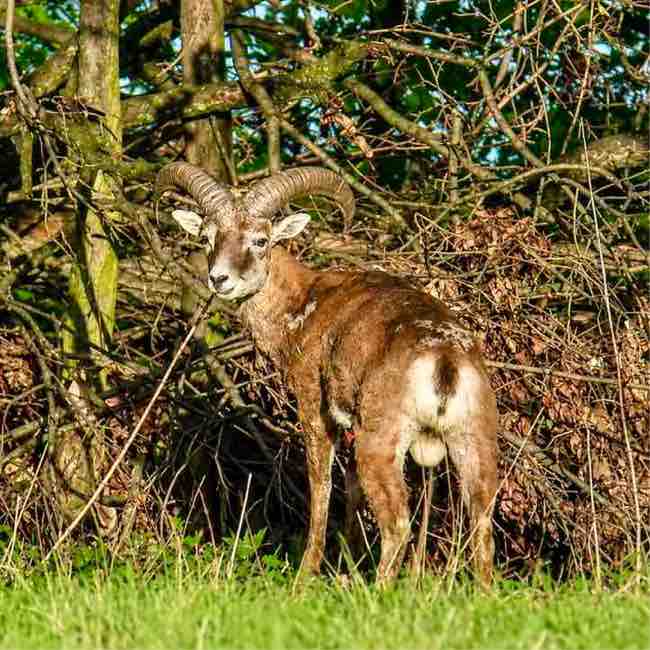 Nie.zapominajka post 3