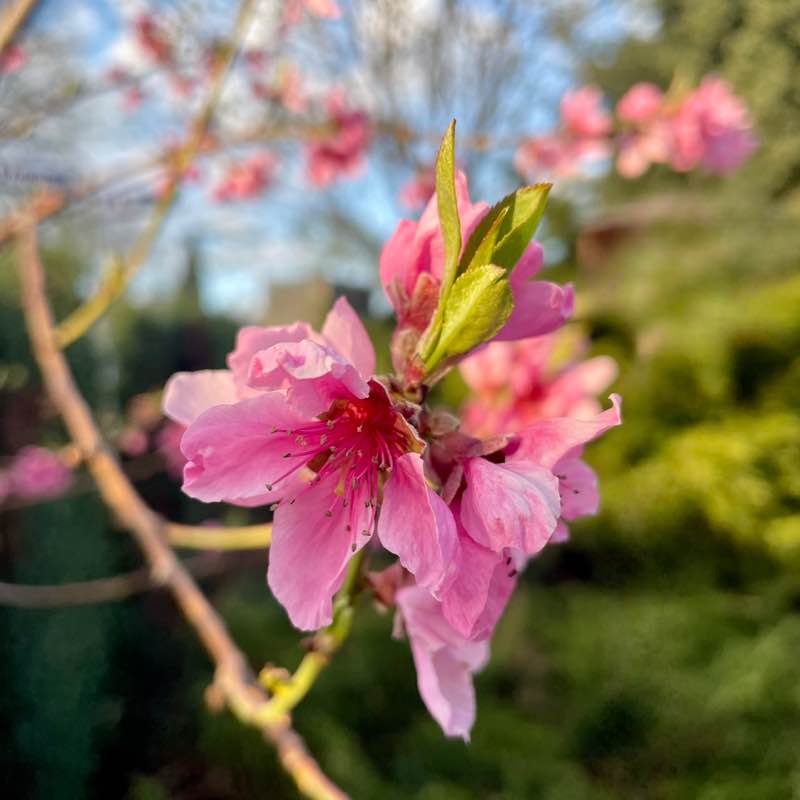 Nie.zapominajka post 2