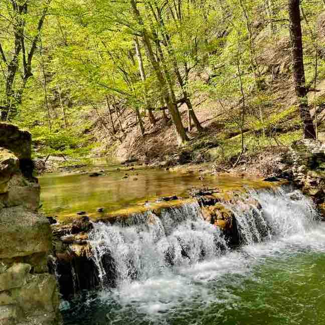 Nie.zapominajka post 2