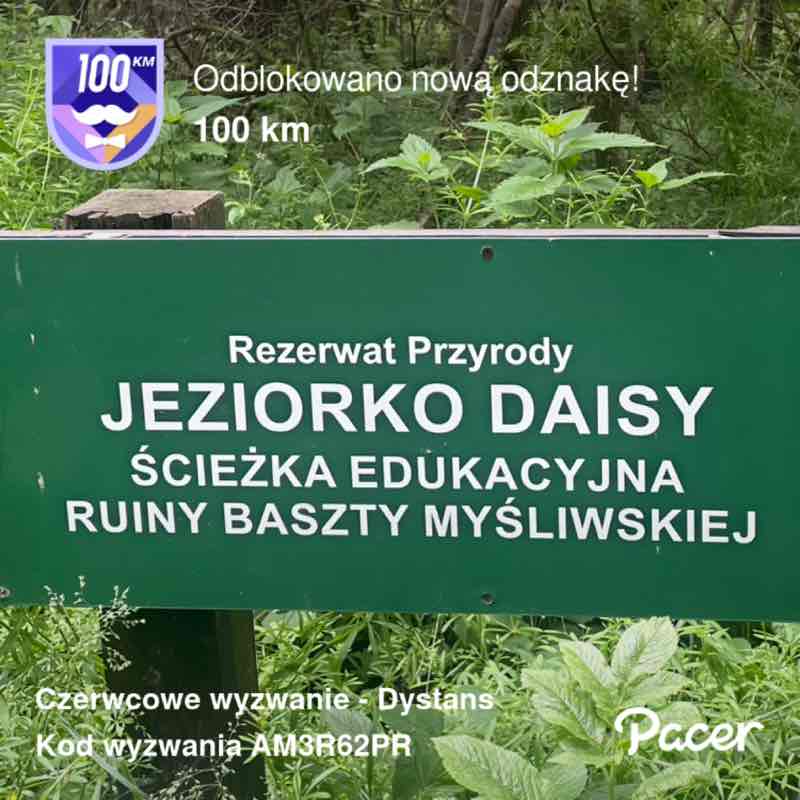 Niezapominajka post 1