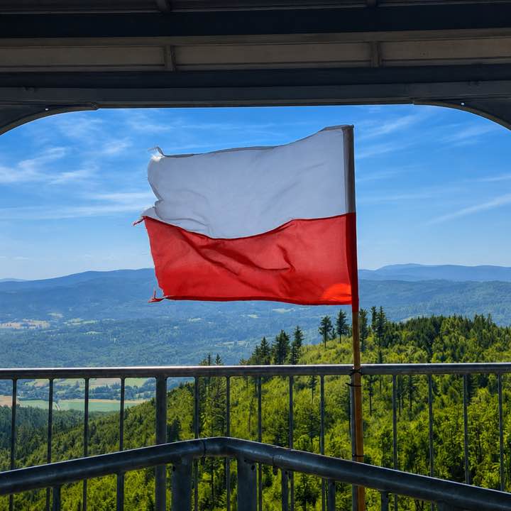 Niezapominajka post 3