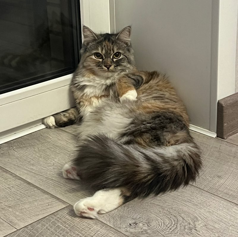 Вероника profile