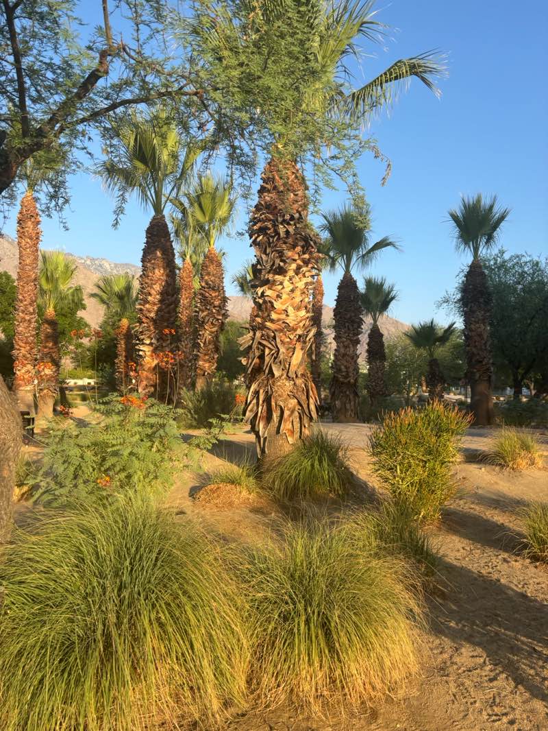 walking near me in The Wellness Park in autumn