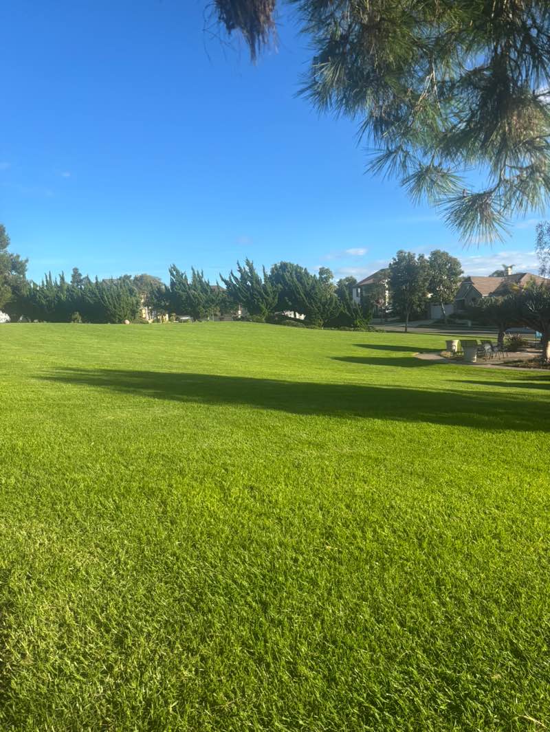 walking near me in Topiary Park in autumn