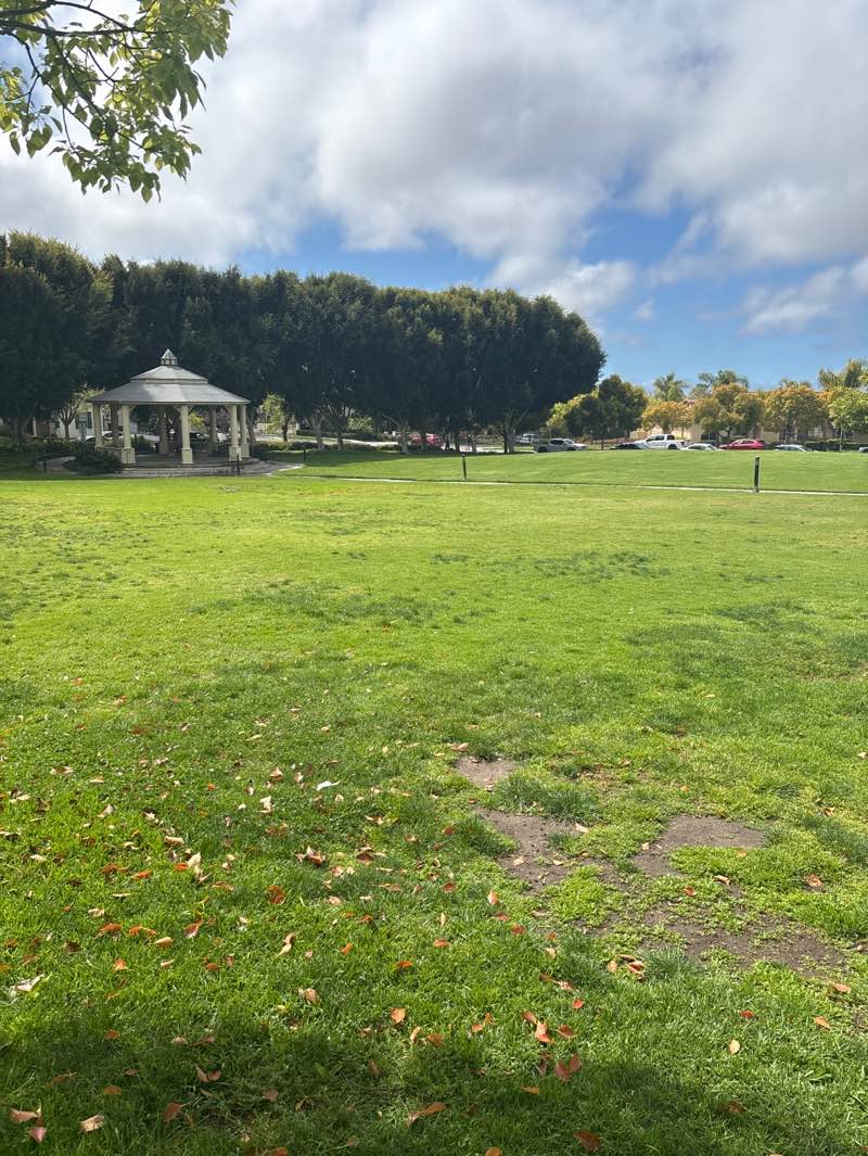 walking near me in Bressi Gazebo Park in spring