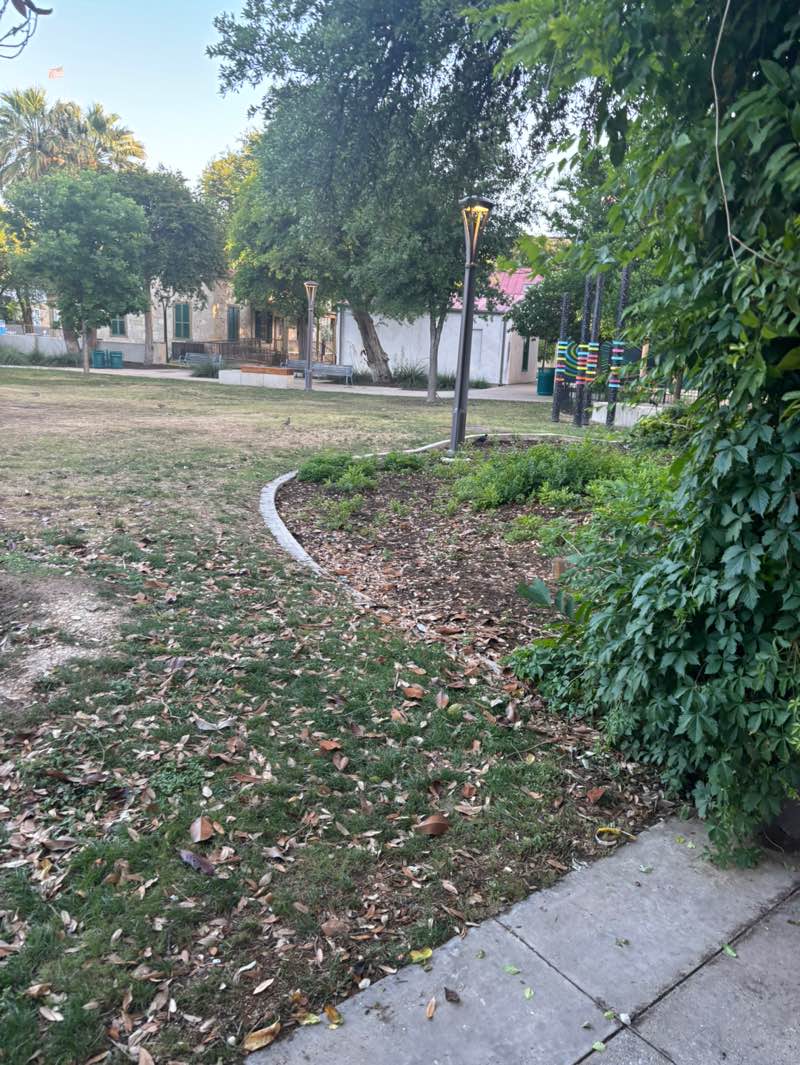 walking near me in Yanaguana Garden in spring