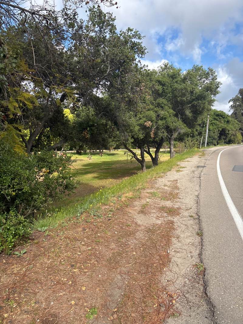 walking near me in Brengle Terrace Park in spring
