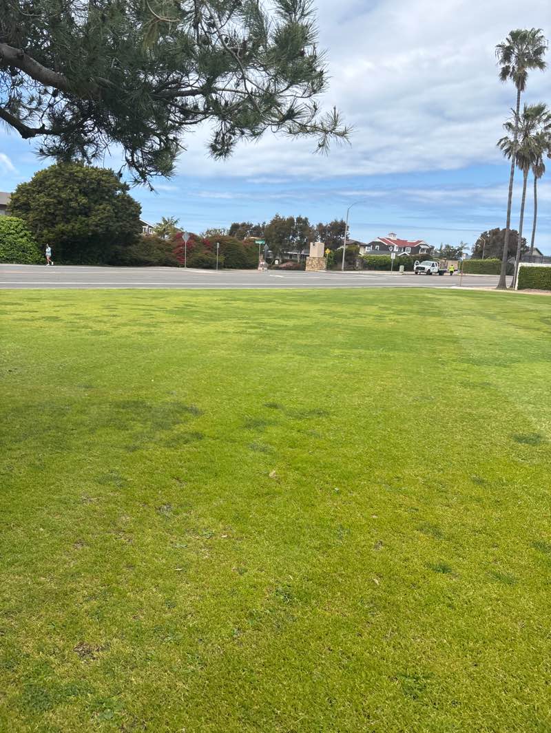 walking near me in Cannon Park in spring