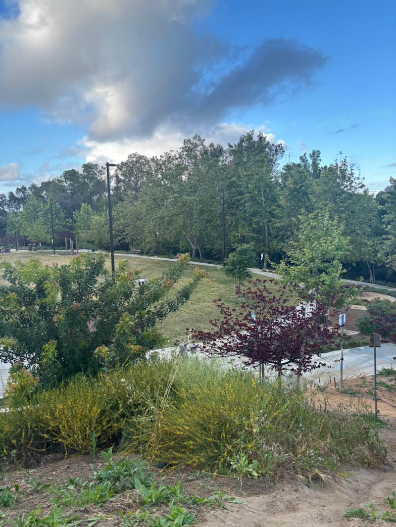 walking near me in Bub Williamson Park in spring