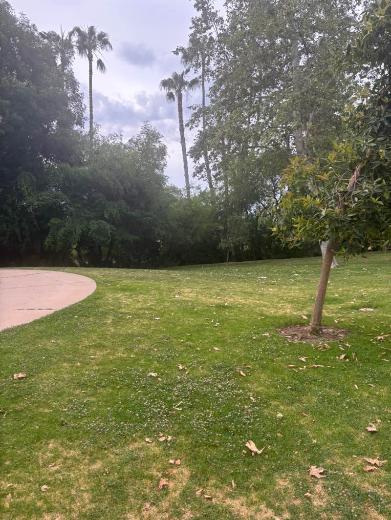 walking near me in Wildwood Park in summer