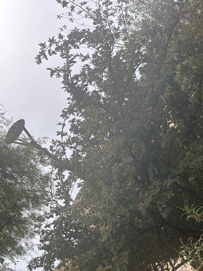 walking near me in Civic Center Park in autumn