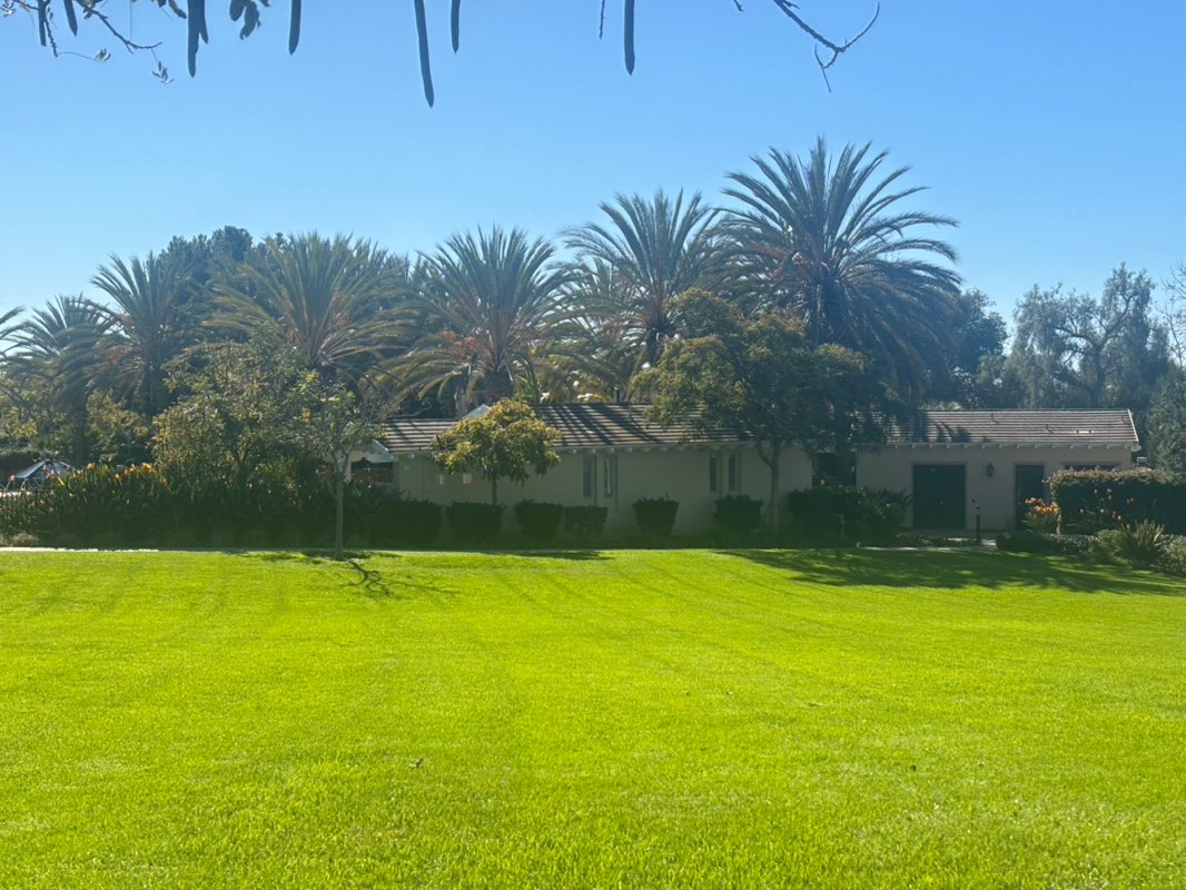 walking near me in Bressi Square in winter
