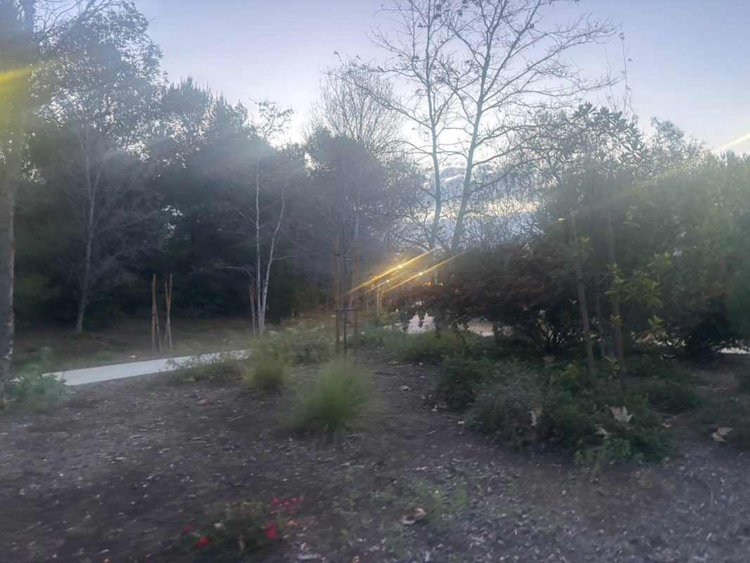 walking near me in Civic Center Park in winter