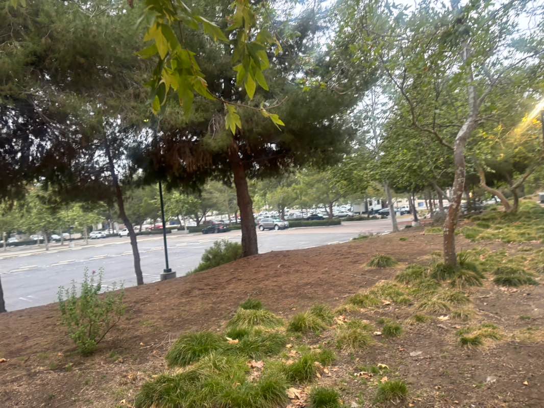 walking near me in Civic Center Park in spring
