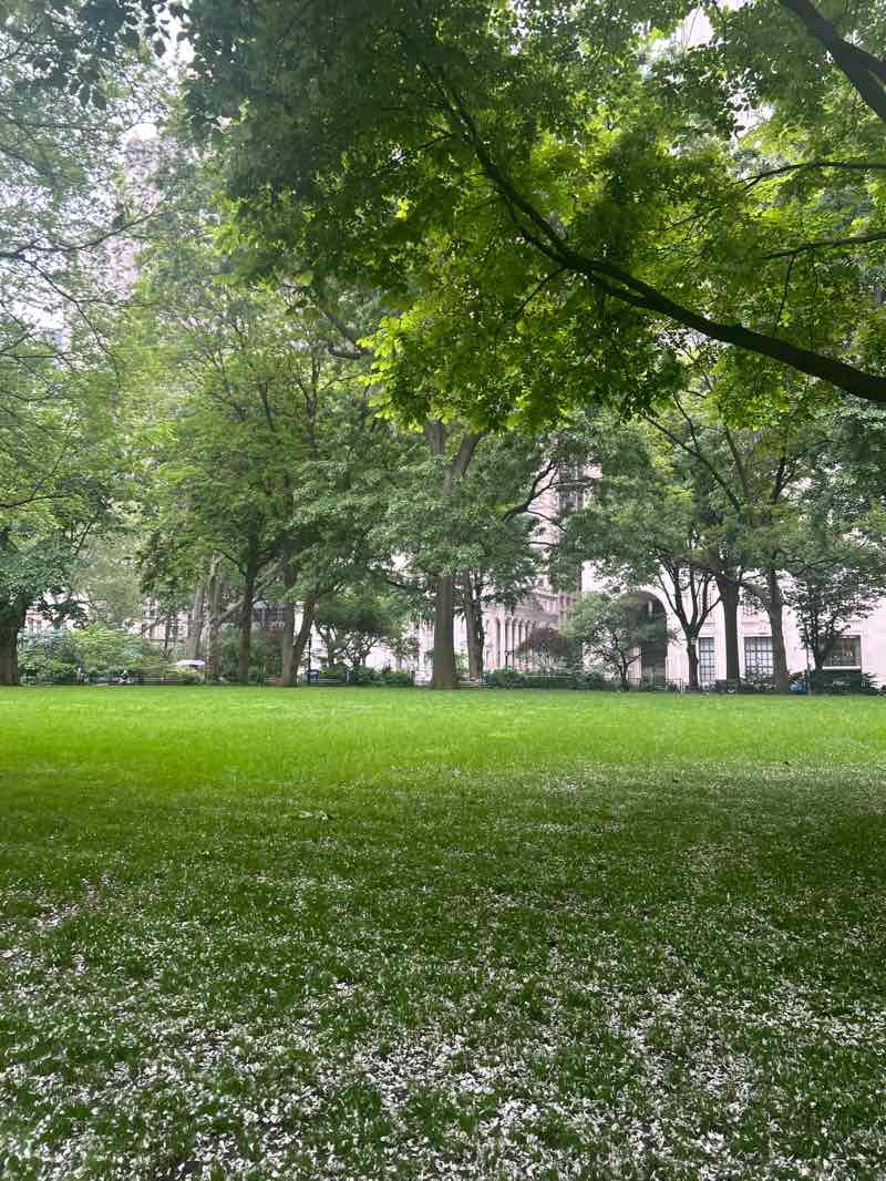 walking near me in Madison Square Park in spring