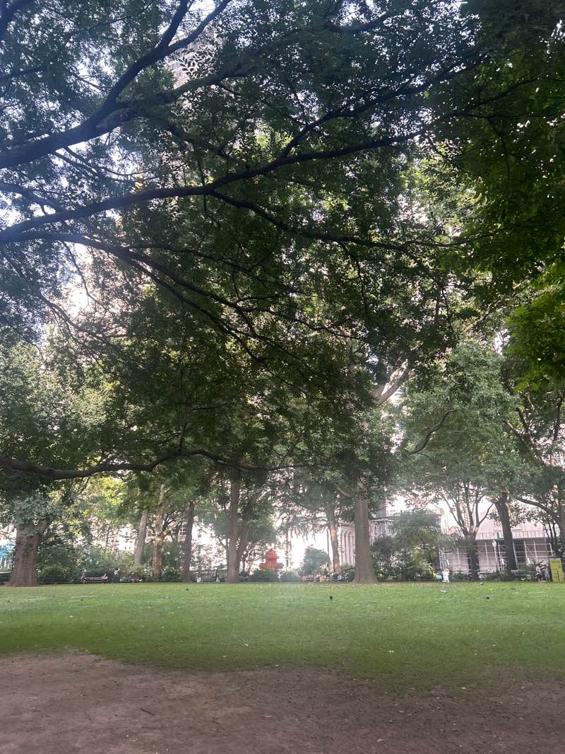 walking near me in Madison Square Park in autumn