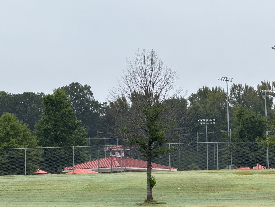walking near me in mTrade Park in autumn