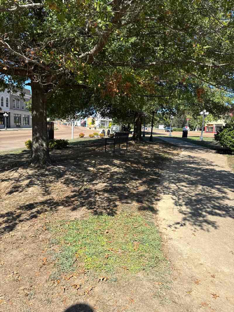 walking near me in Railroad Park in autumn