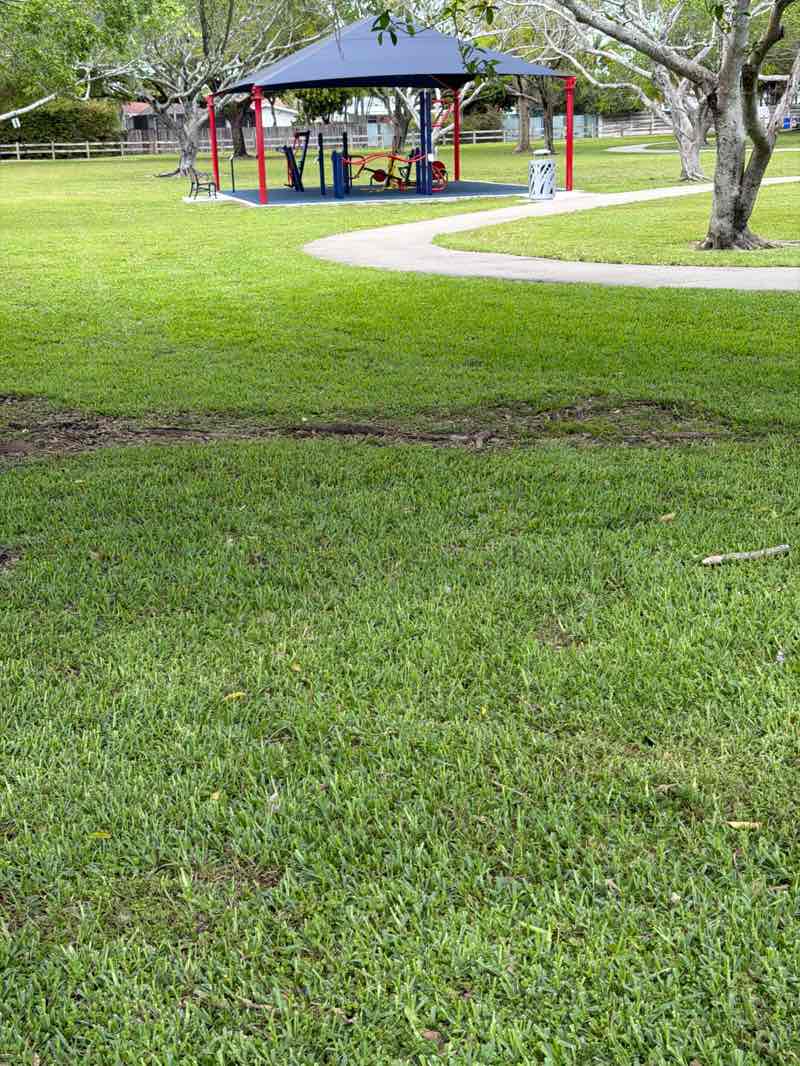 walking near me in Zinkil Park in spring