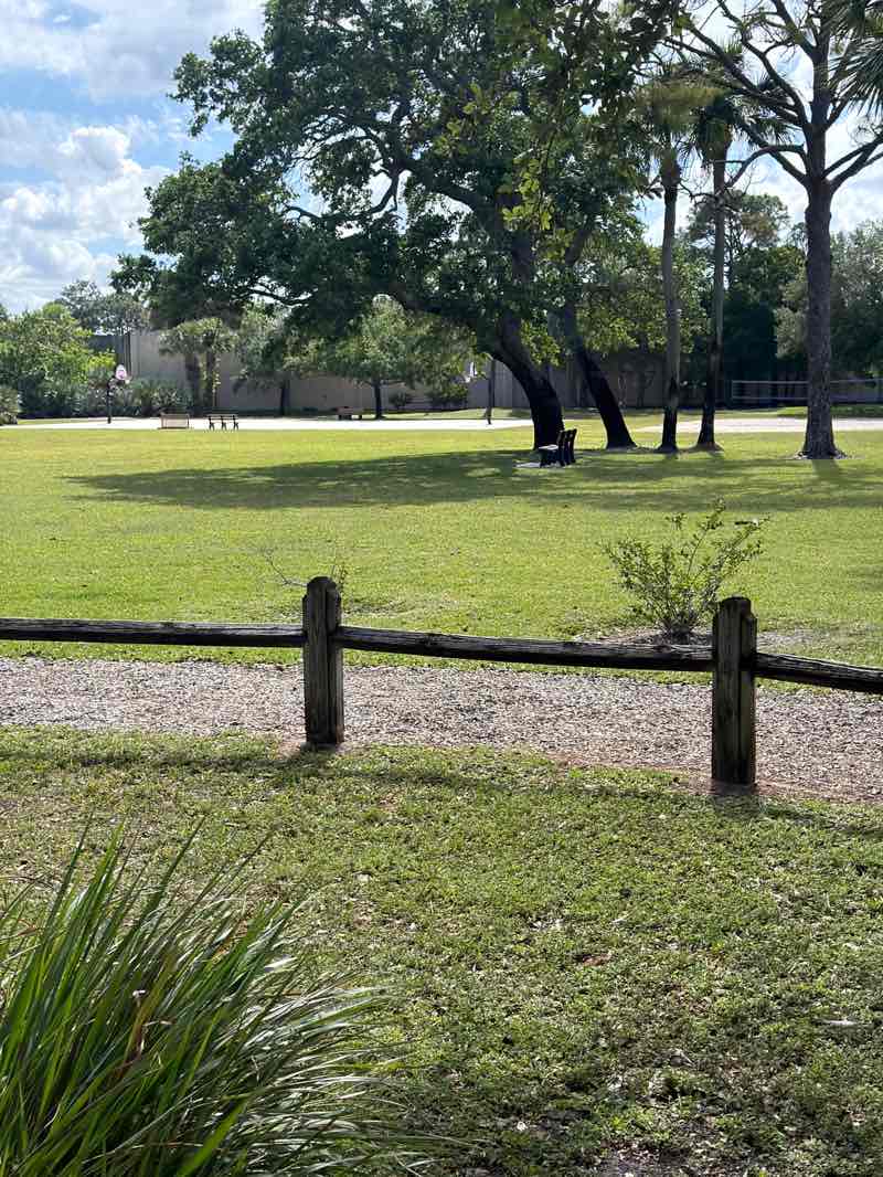 walking near me in The Heights of Jupiter Park in spring