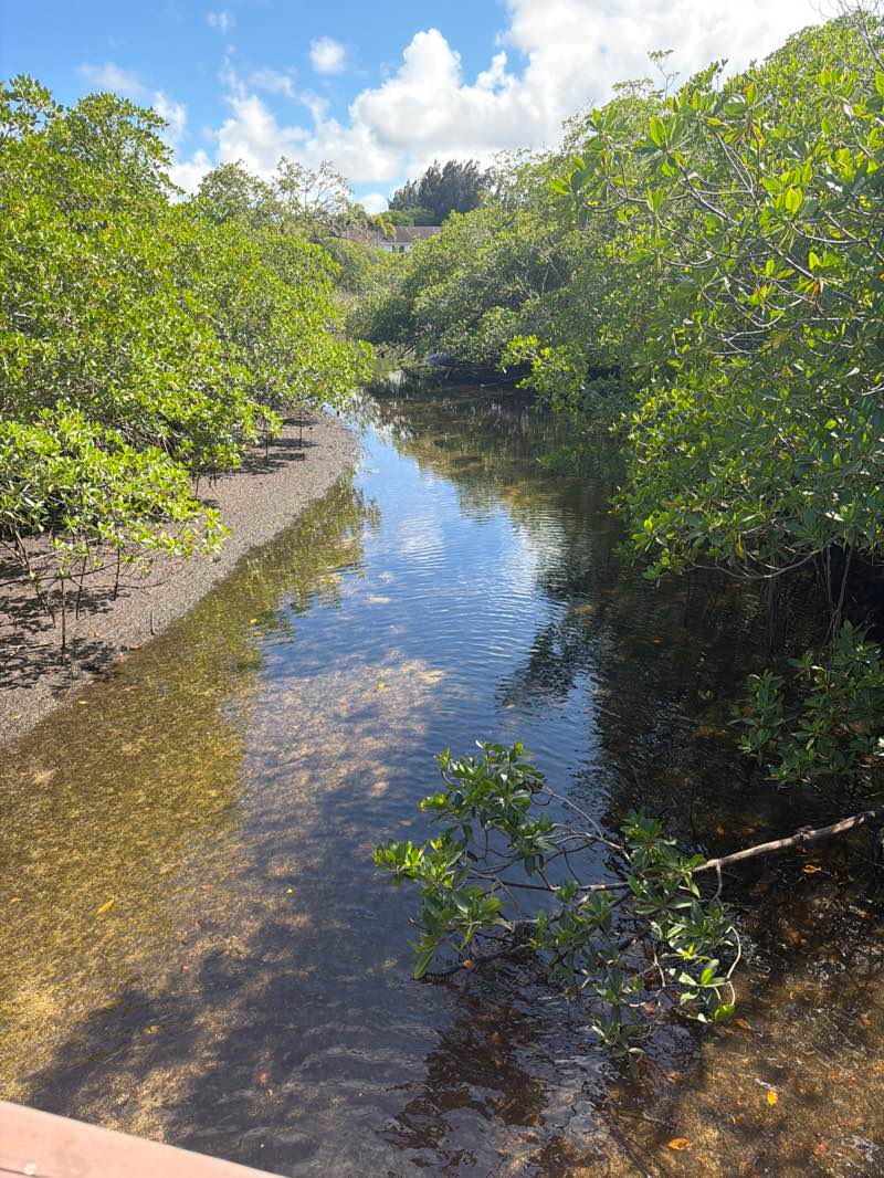 walking near me in Colohatchee Park in spring
