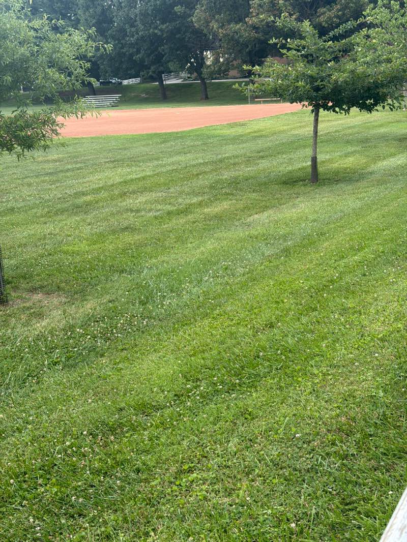 walking near me in West Towson Park in summer
