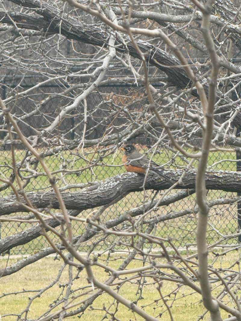walking near me in Lake Providence Park in spring