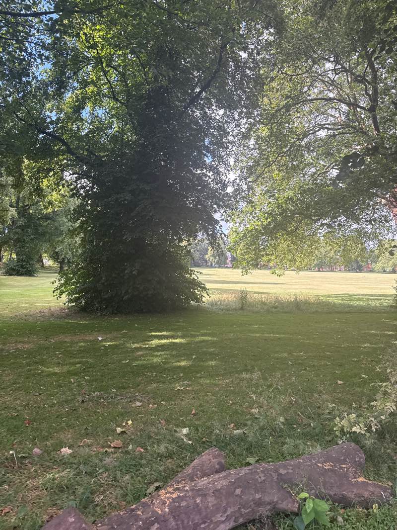 walking near me in Chester Green in summer