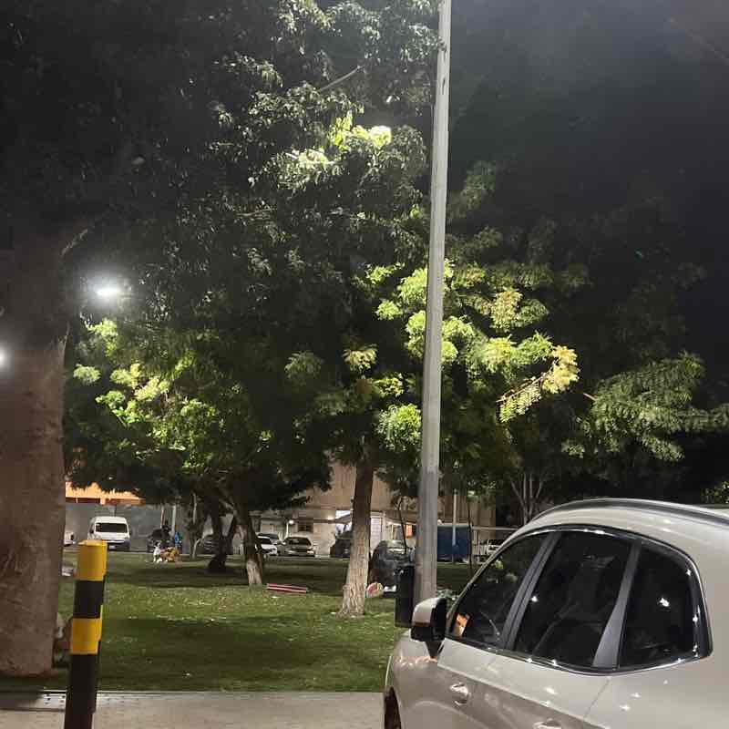 Ali Saeed Jahran post 1