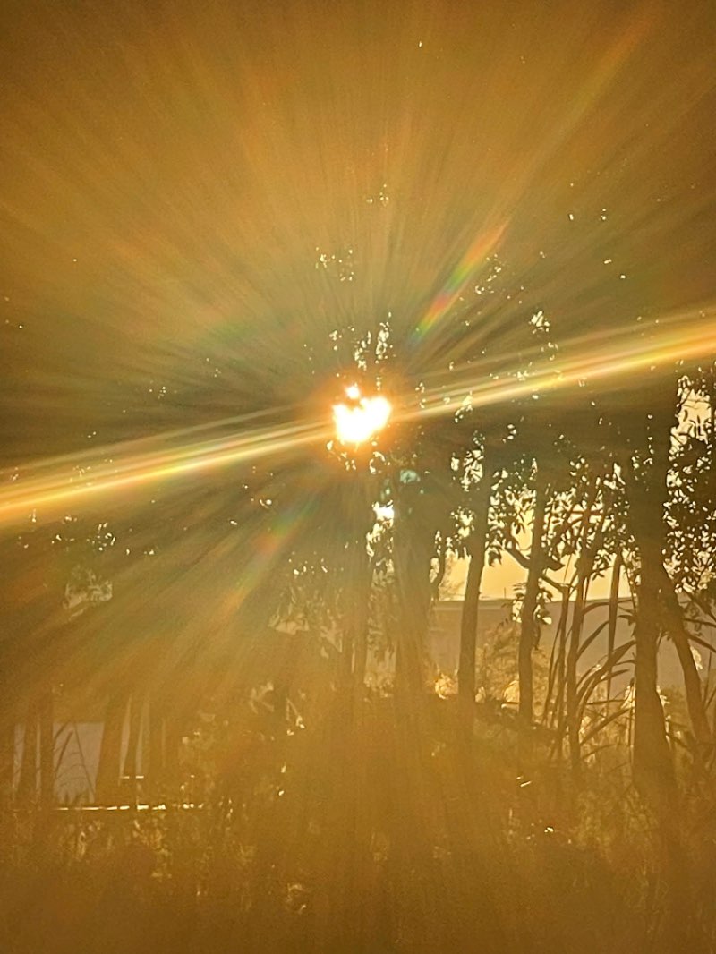 walking near me in Area 6 Park in winter