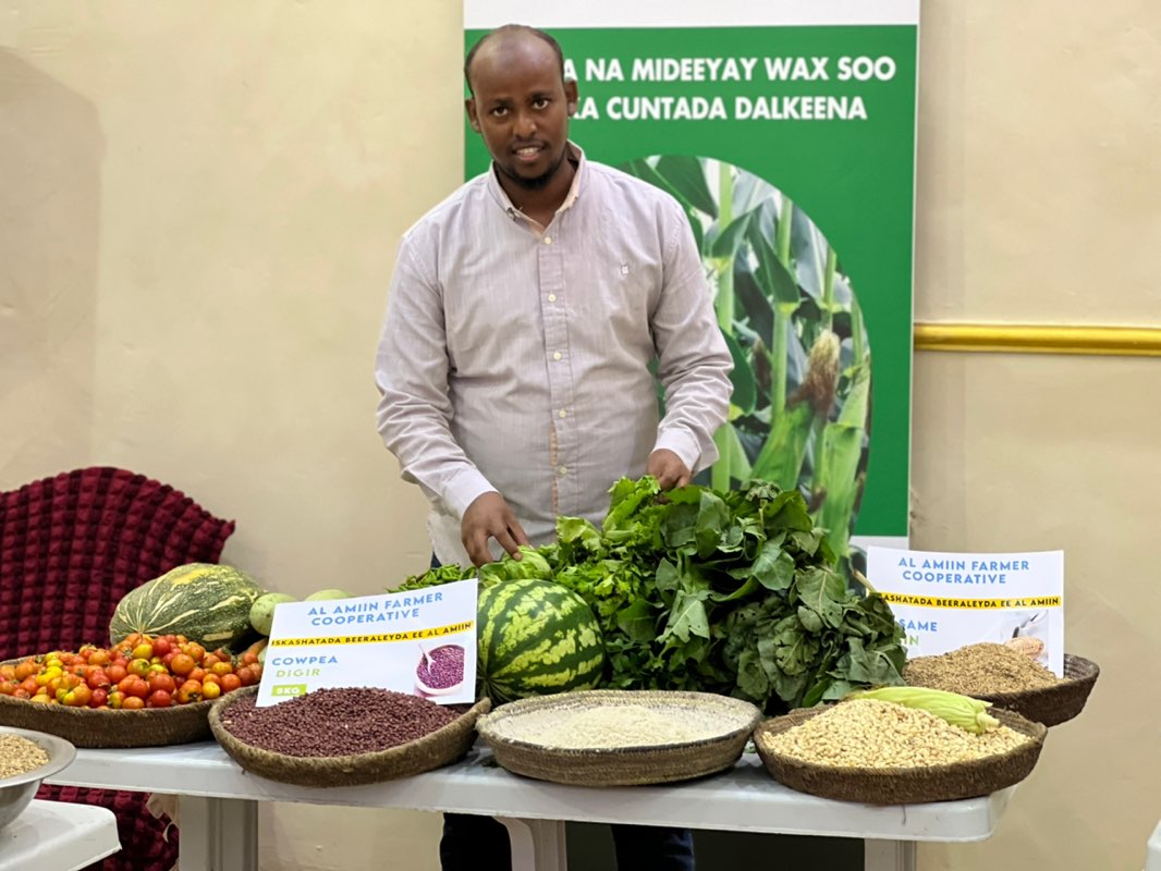 Abduwahab Addow icon