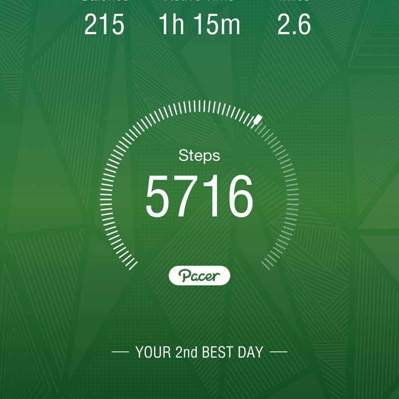 Richard I . Lapidus post 1