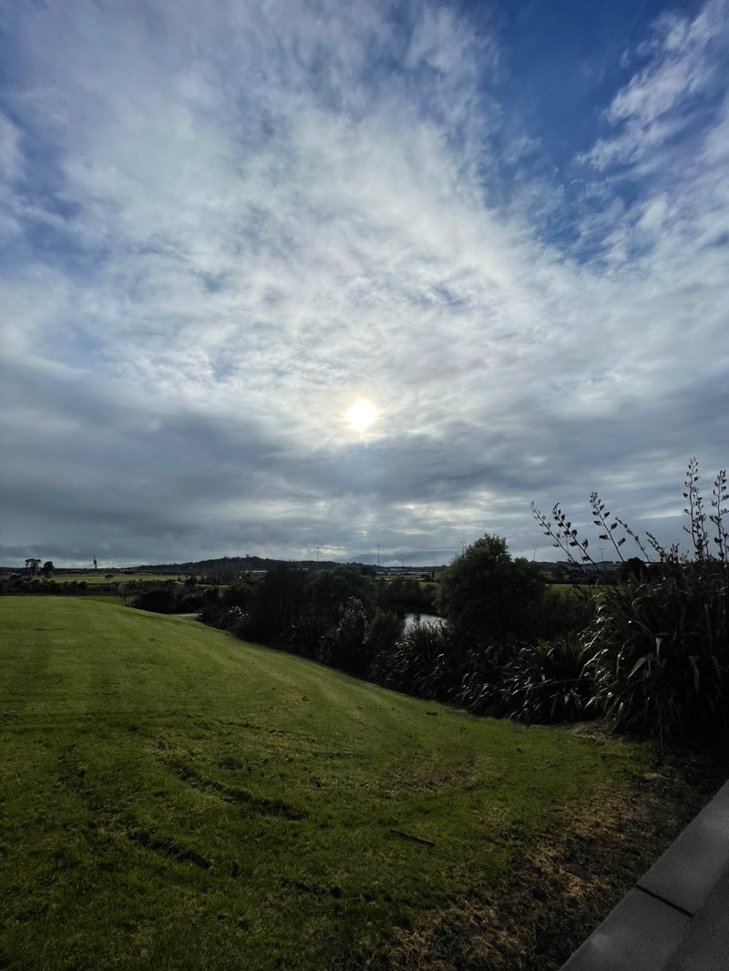 walking near me in Barry Curtis Park in spring
