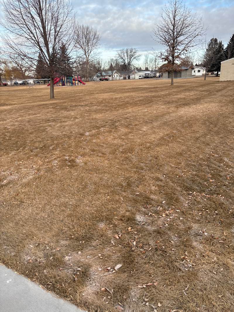 walking near me in Lincoln Park in winter